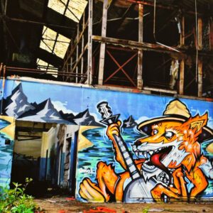 Hill Billy Fox