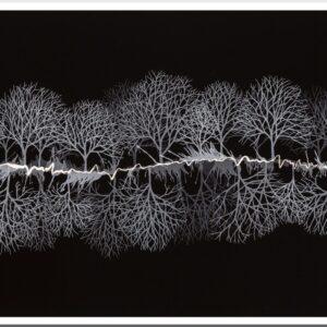 Monochrome Treescape