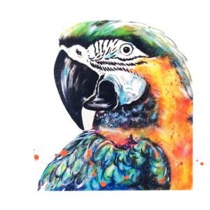 Patricia the Parrot