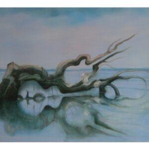 Porcupine and Guitar on the Beach