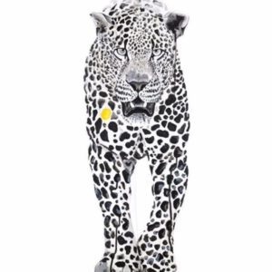 Spots
