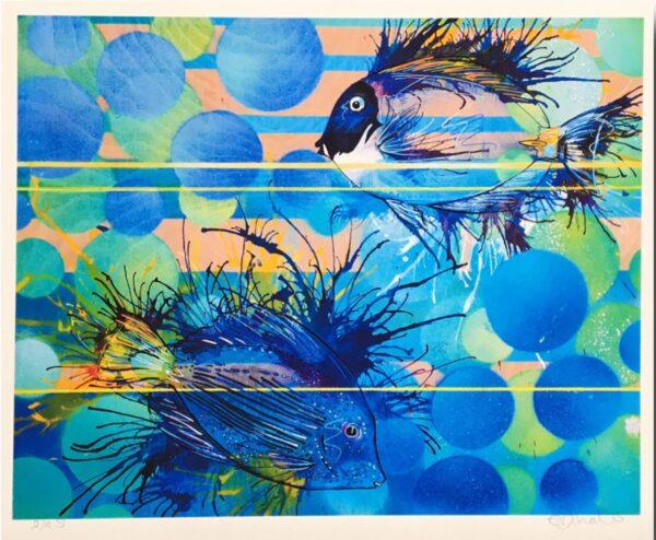 Surgeon Fish in Sharm