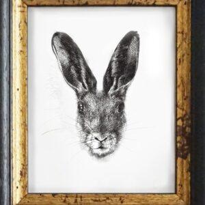 The Hare