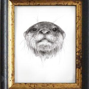 The Otter