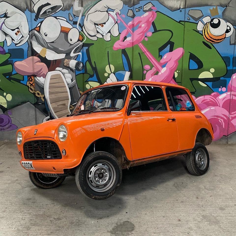 IMM 2019