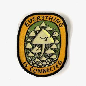 Everything is connected