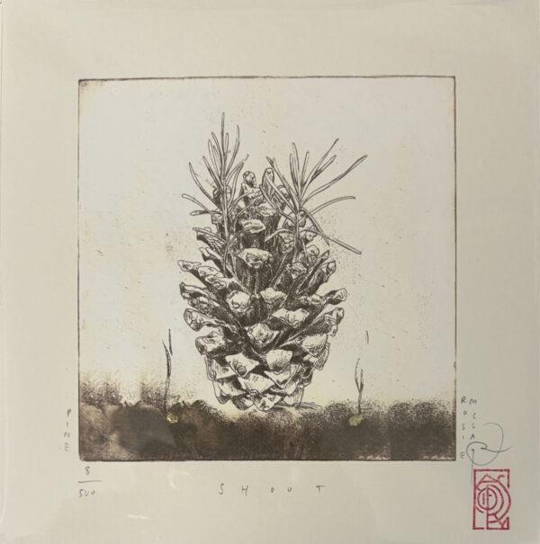 Mini Print- Shoot Pine