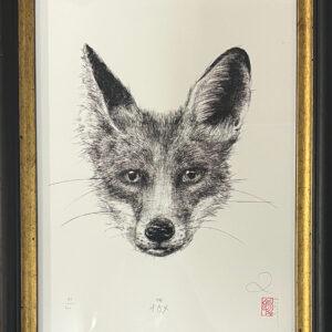 The Fox
