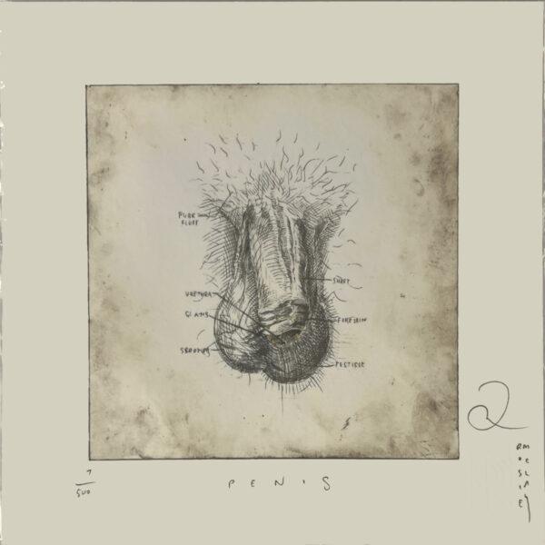 Mini Print- Penis