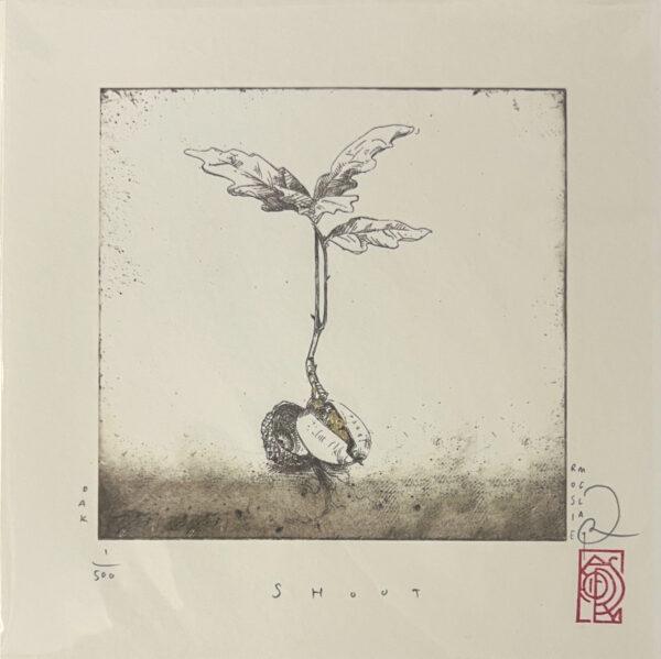 Mini Print- Shoot Oak