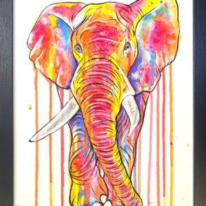 Elephant in the Little Room