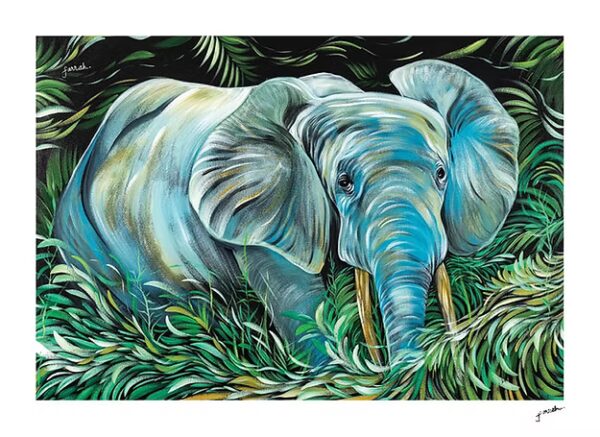 African Forest Elephant