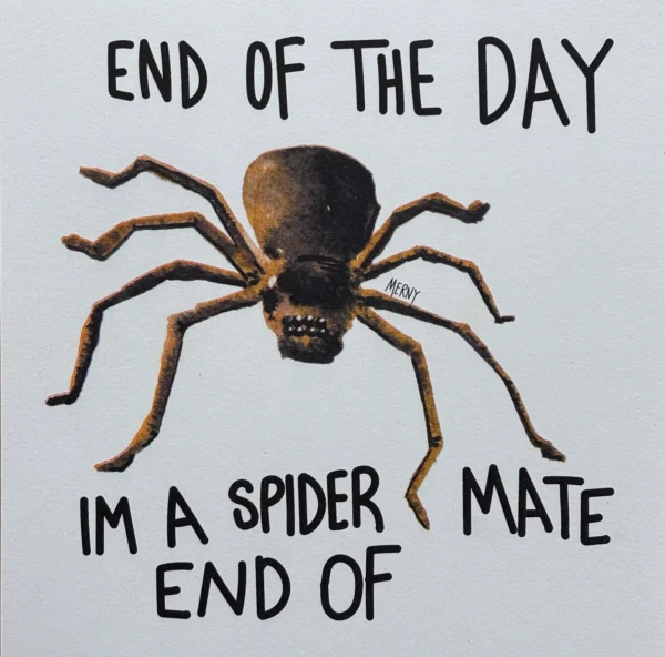 Spider Mate