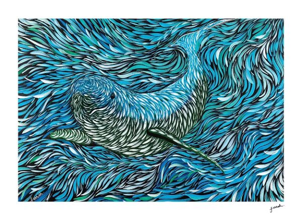 Yangtze Finless Porpoise