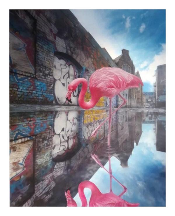 Flamingo on Moon Street