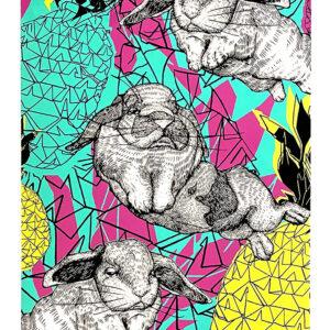 Bunny and Pineapple