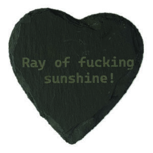 Ray of Sunshine Coaster